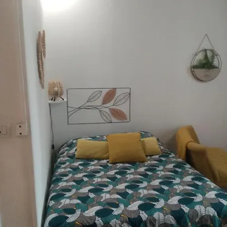 公寓 Les Amandiers 图尔